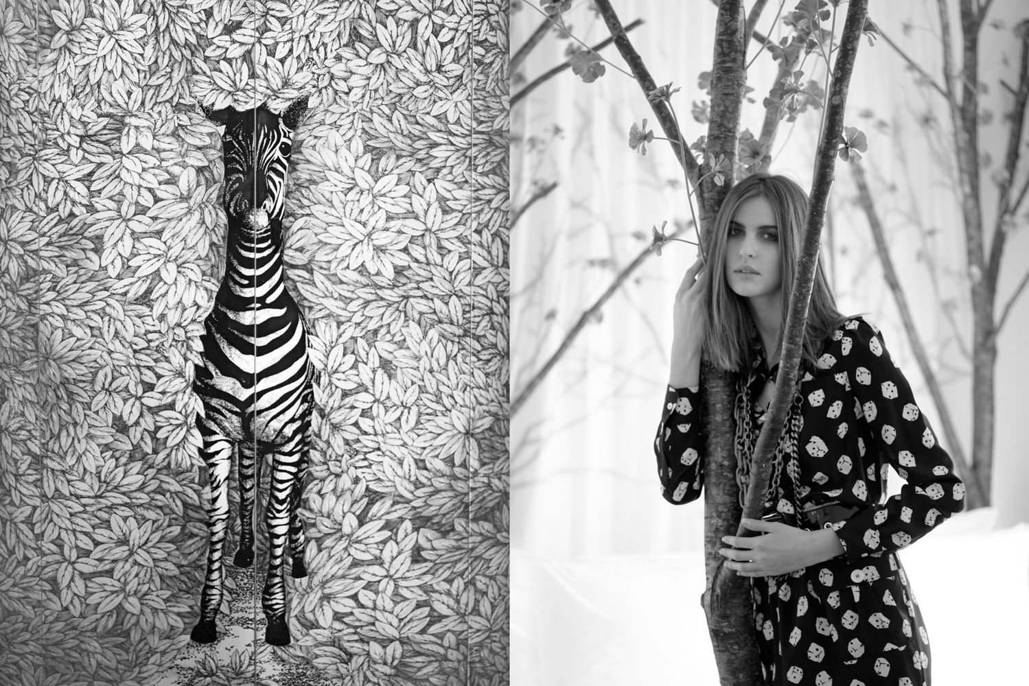 Bec Cole · Conceptual · MILAN BOOK