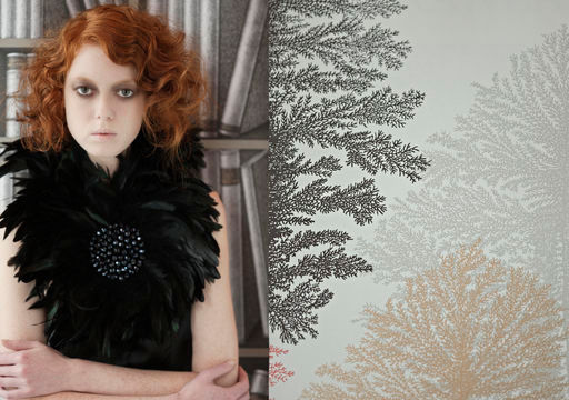 Bec Cole · Conceptual · MILAN BOOK